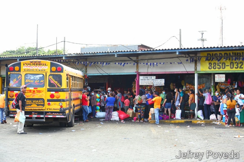 buses